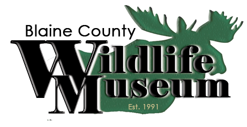 Blaine County Wildlife Museum